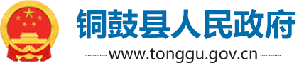 銅鼓縣人民政府